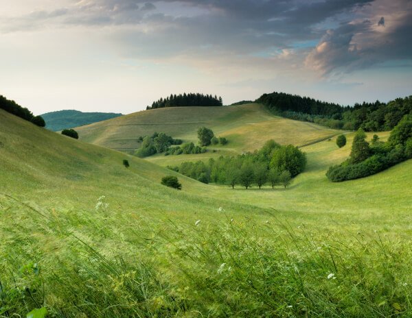 Offerings services 02